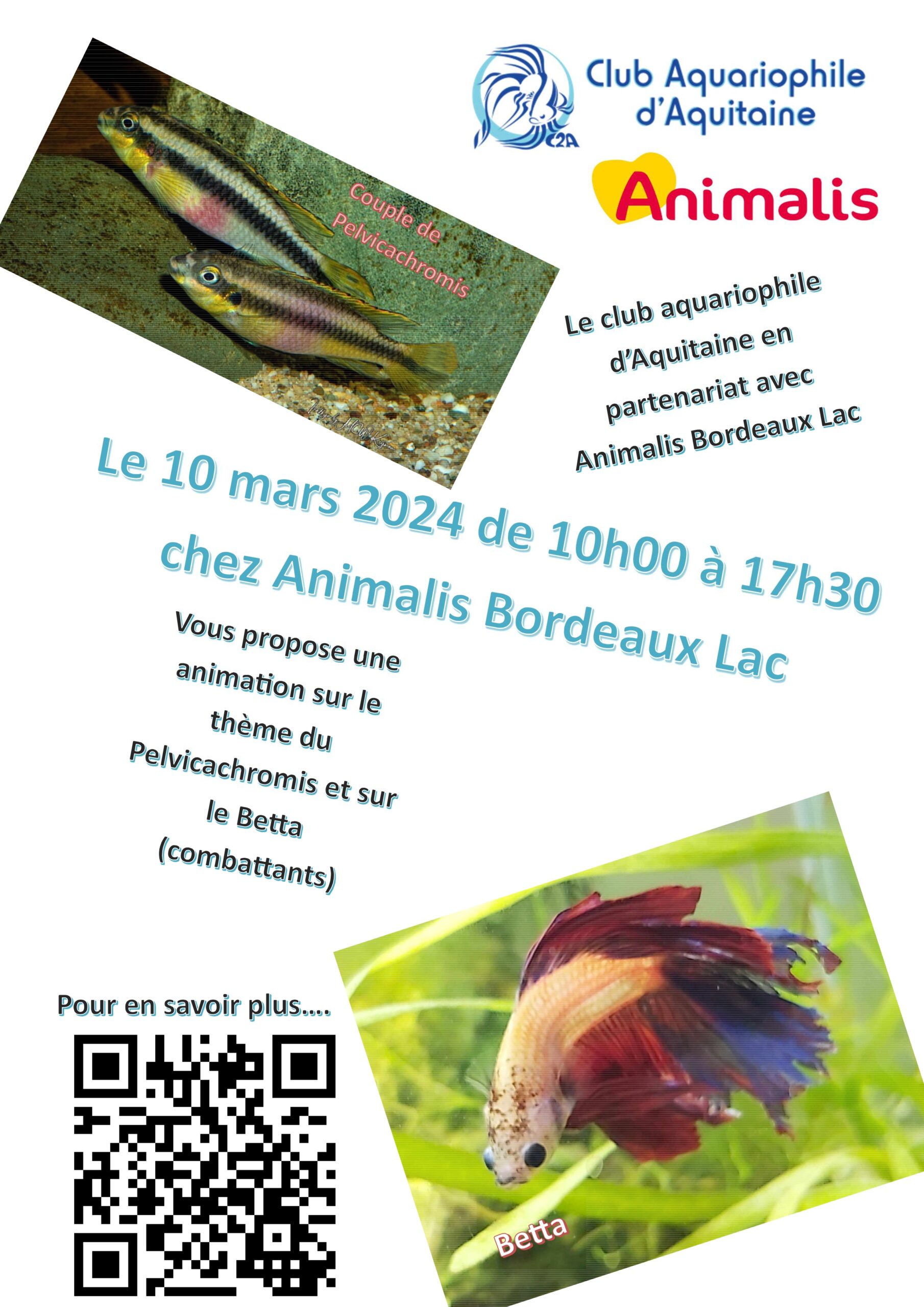 Lire la suite à propos de l’article Animation Animalis – Mars 2024