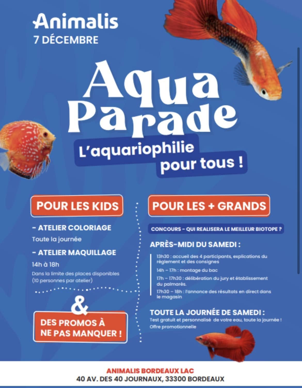 Aquaparade Animalis – Décembre 2024
