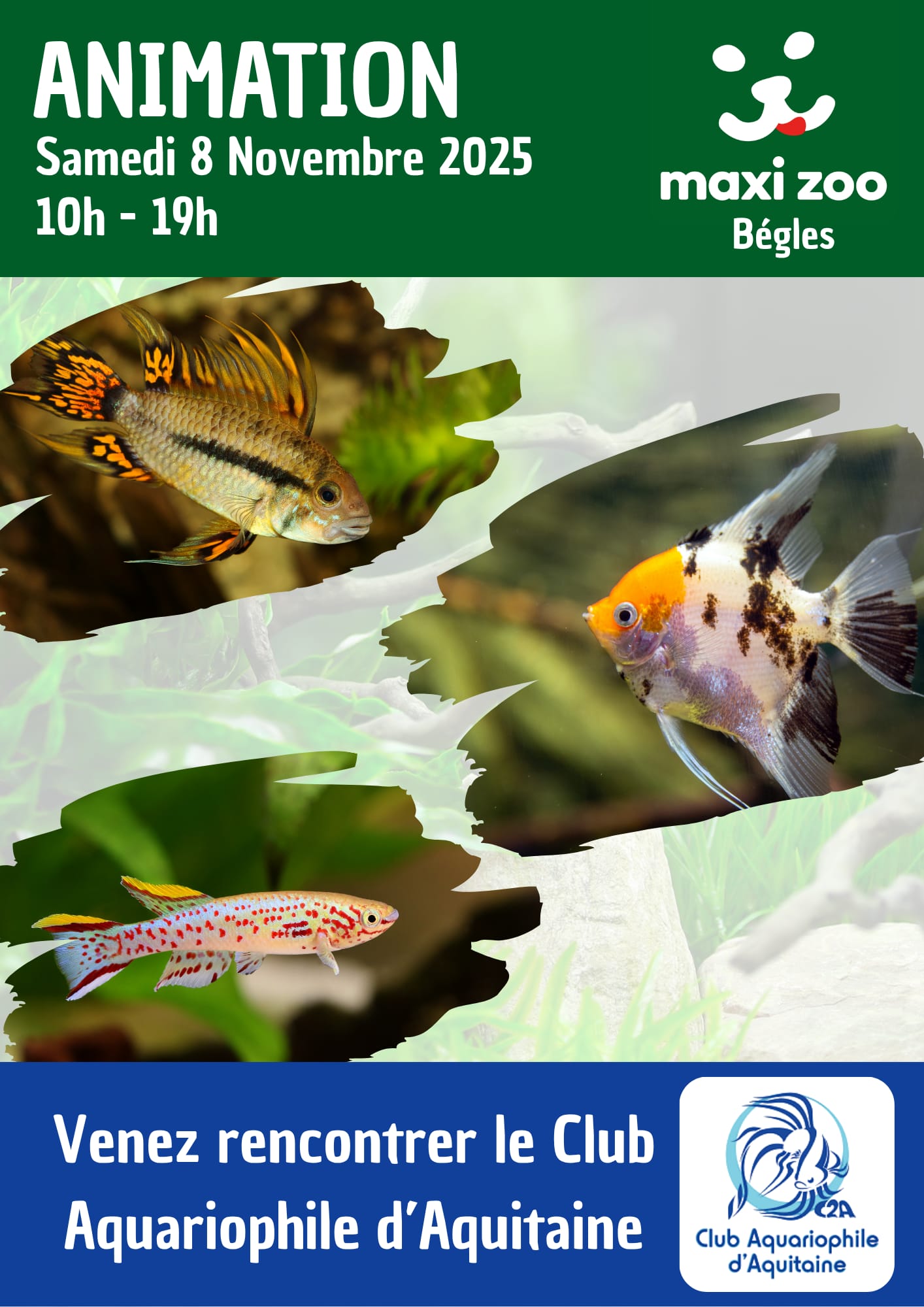 Animation à MaxiZoo, samedi 8 novembre 2025