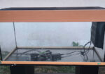 Vend Aquarium Juwel 200L + meuble